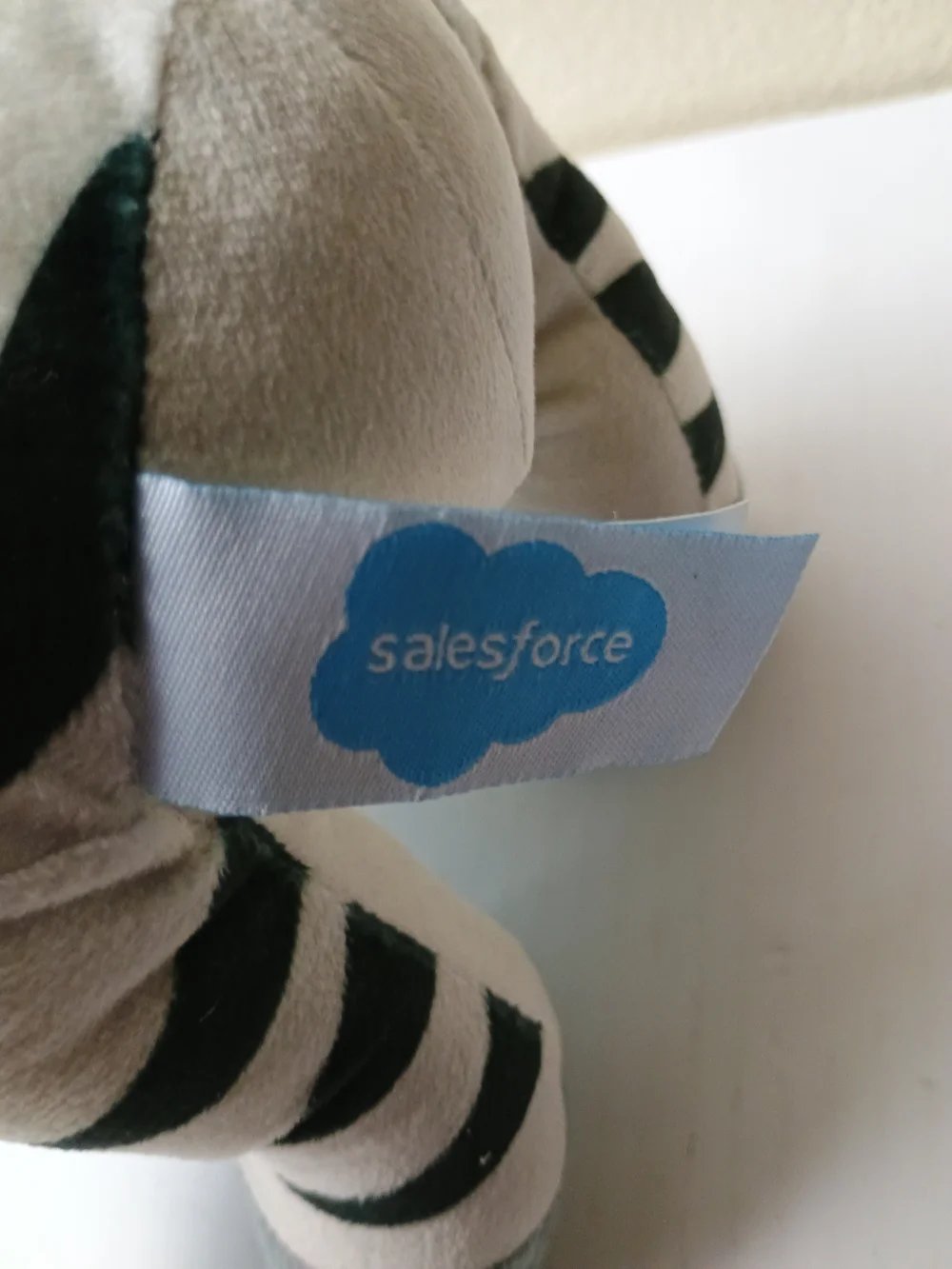 Salesforce soft zebra