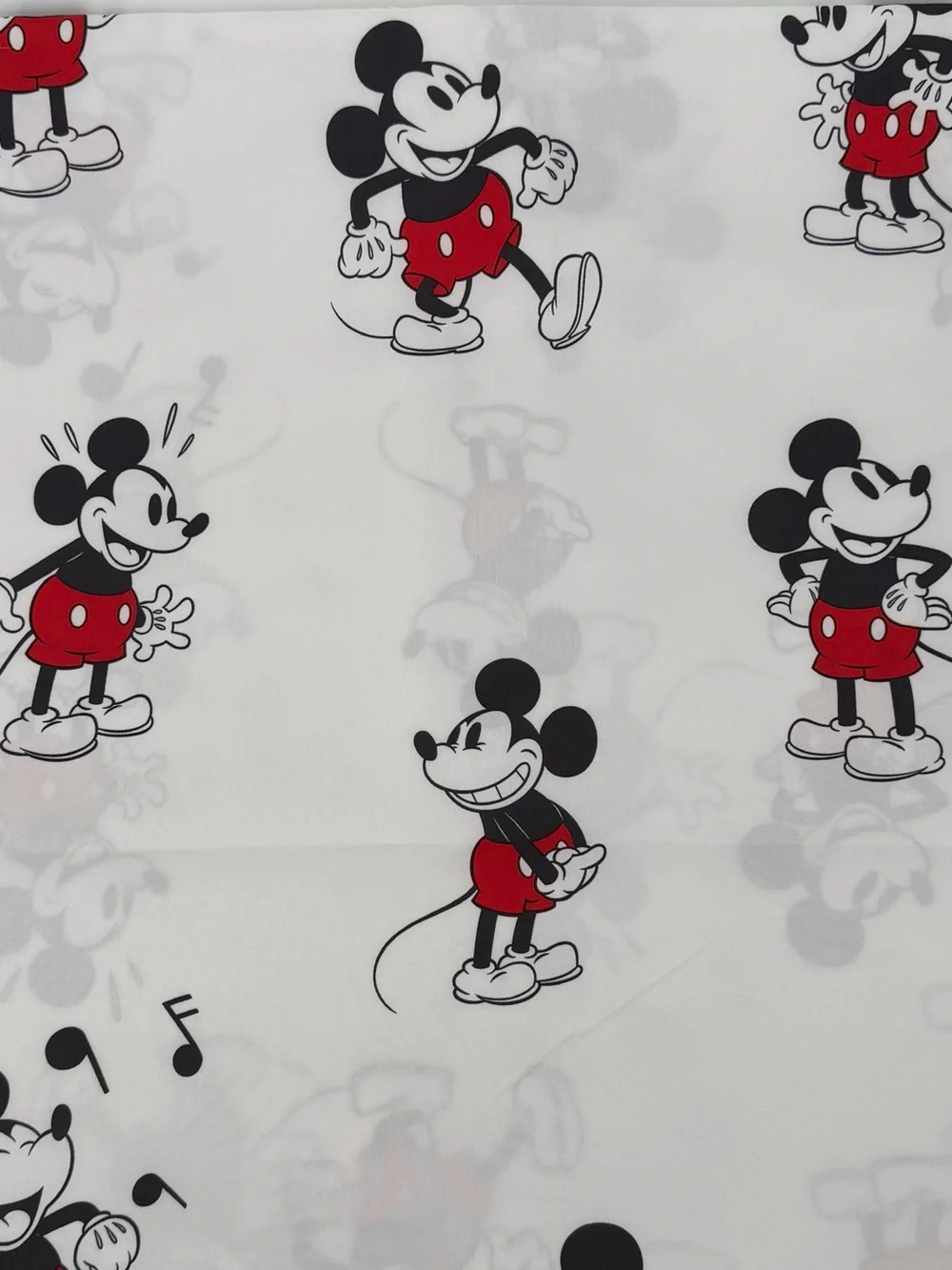 Disney ultra standard use