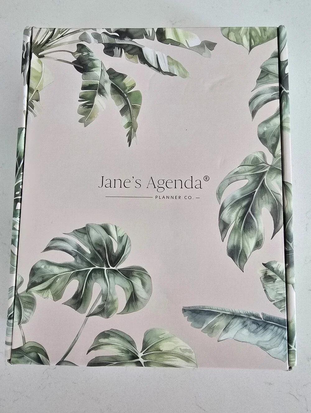janes agenda set clear