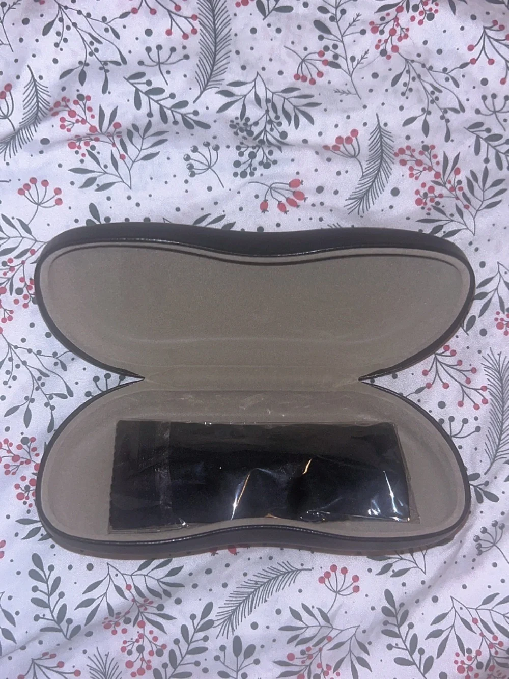 Ray-Ban sturdy case curved