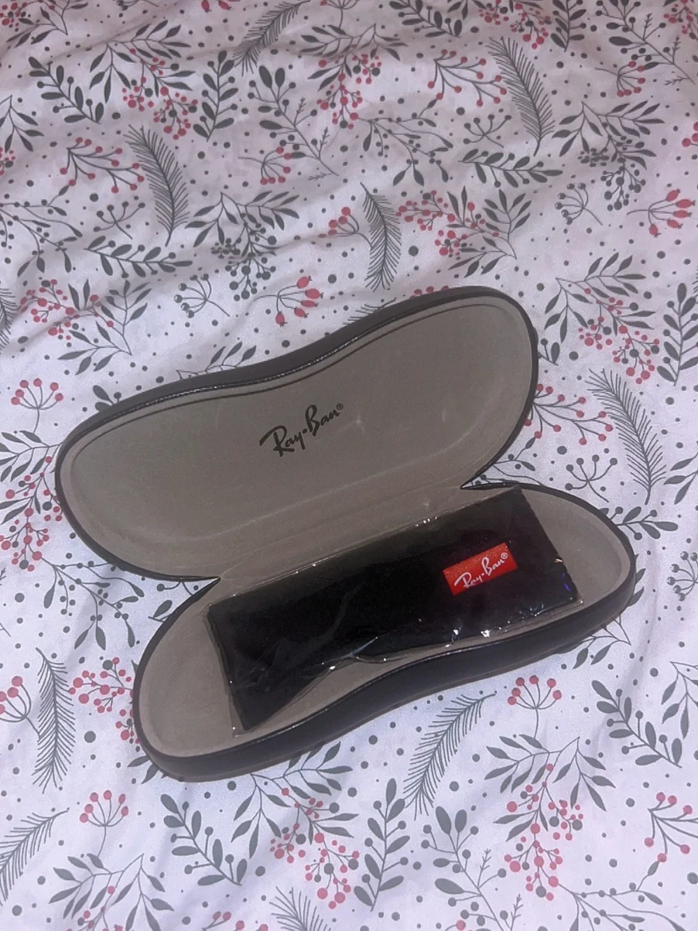 Ray-Ban smooth closure shell