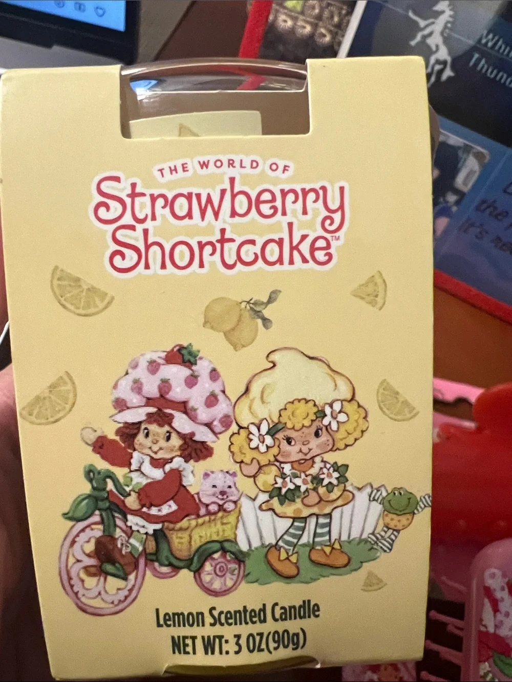 Tge Workd Of Thr Strawberry Shortcake world strawberry