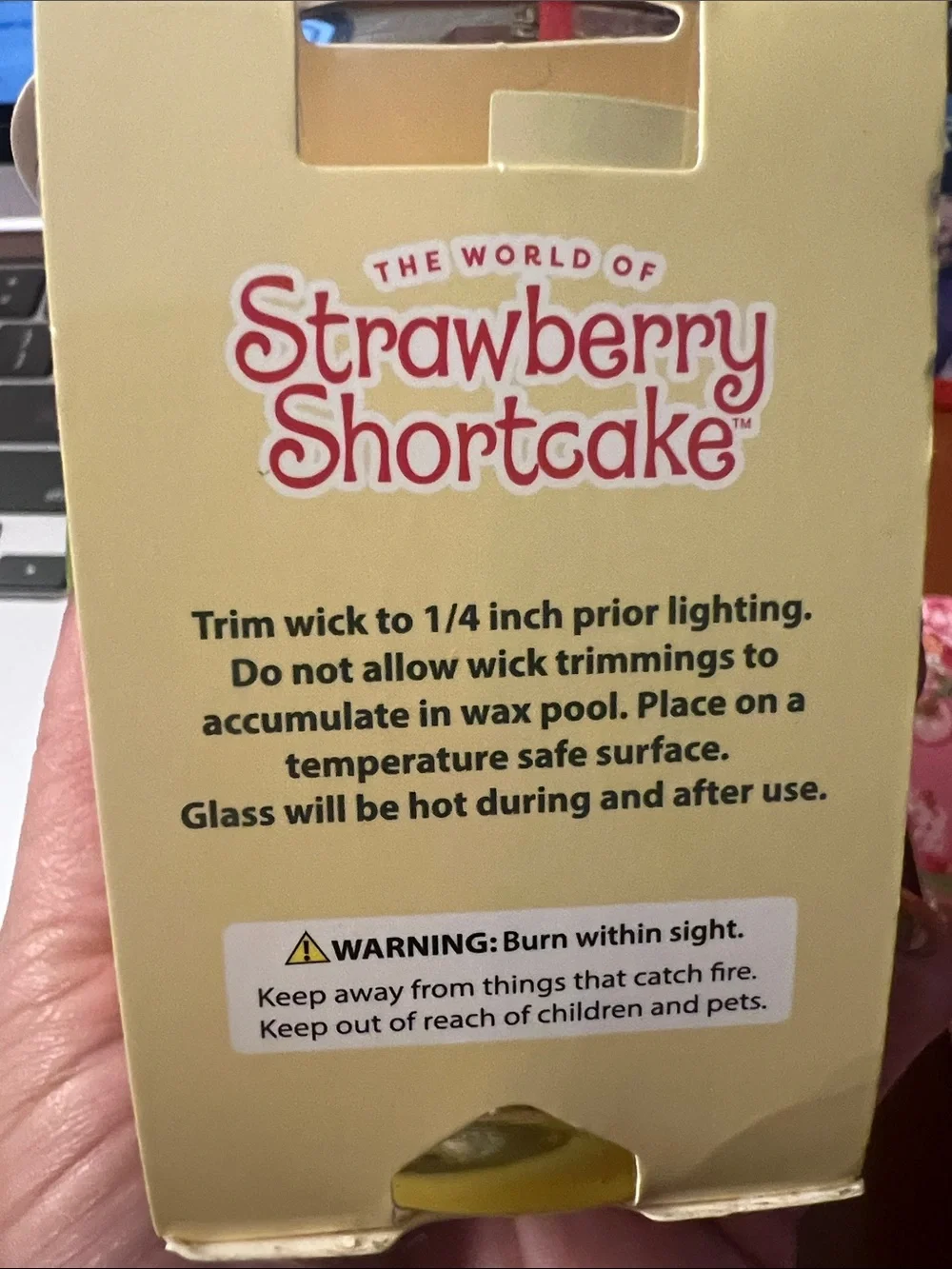 Tge Workd Of Thr Strawberry Shortcake world strawberry