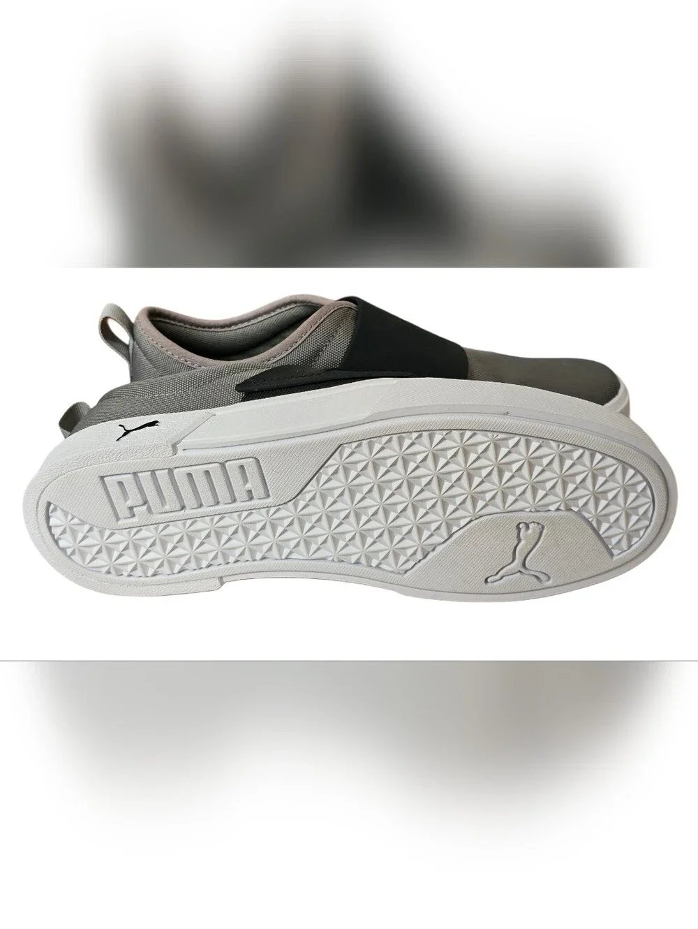 Puma eur maximum brand