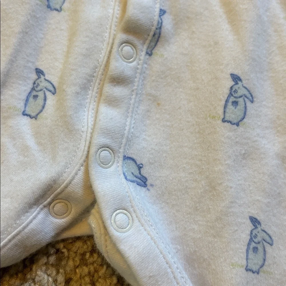 Janie and Jack bunny print