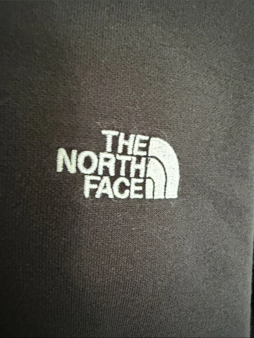 THE NORTH FACE MEN'S EVOLUTION SIMPLE DOME OVERSIZED HOODIE