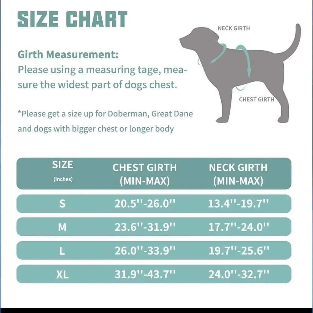 Dog Harness Set
