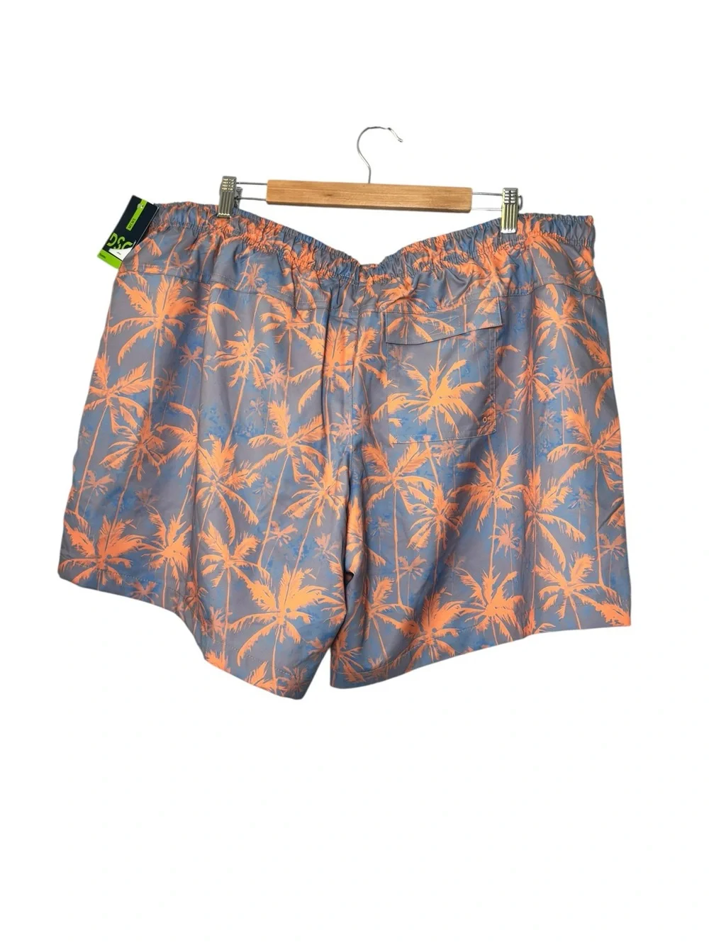 DSG swim trunks