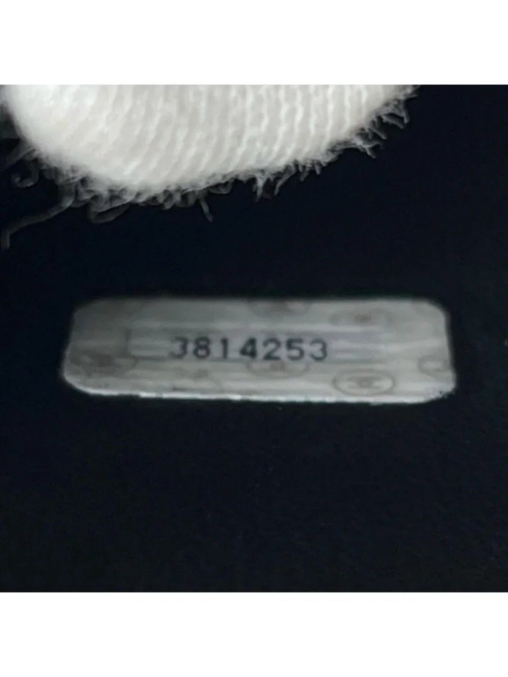 CHANEL listed climate