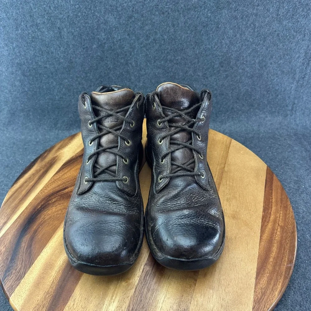 Irish Setter red wing