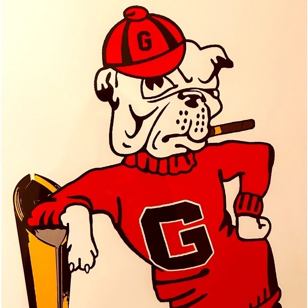 Georgia Bulldogs UGA University of Georgia what do