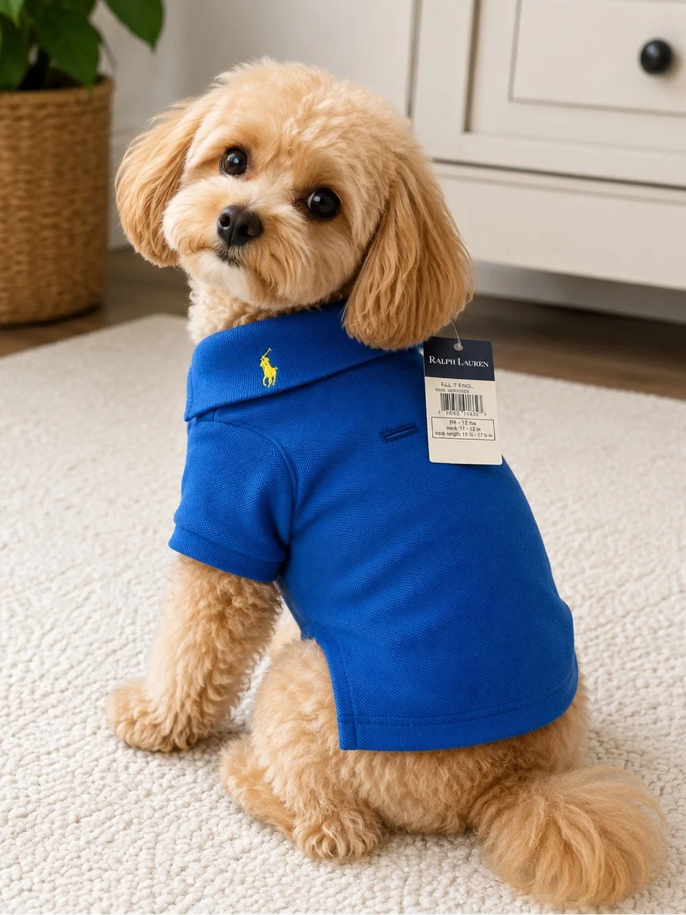 Ralph Lauren dress your
