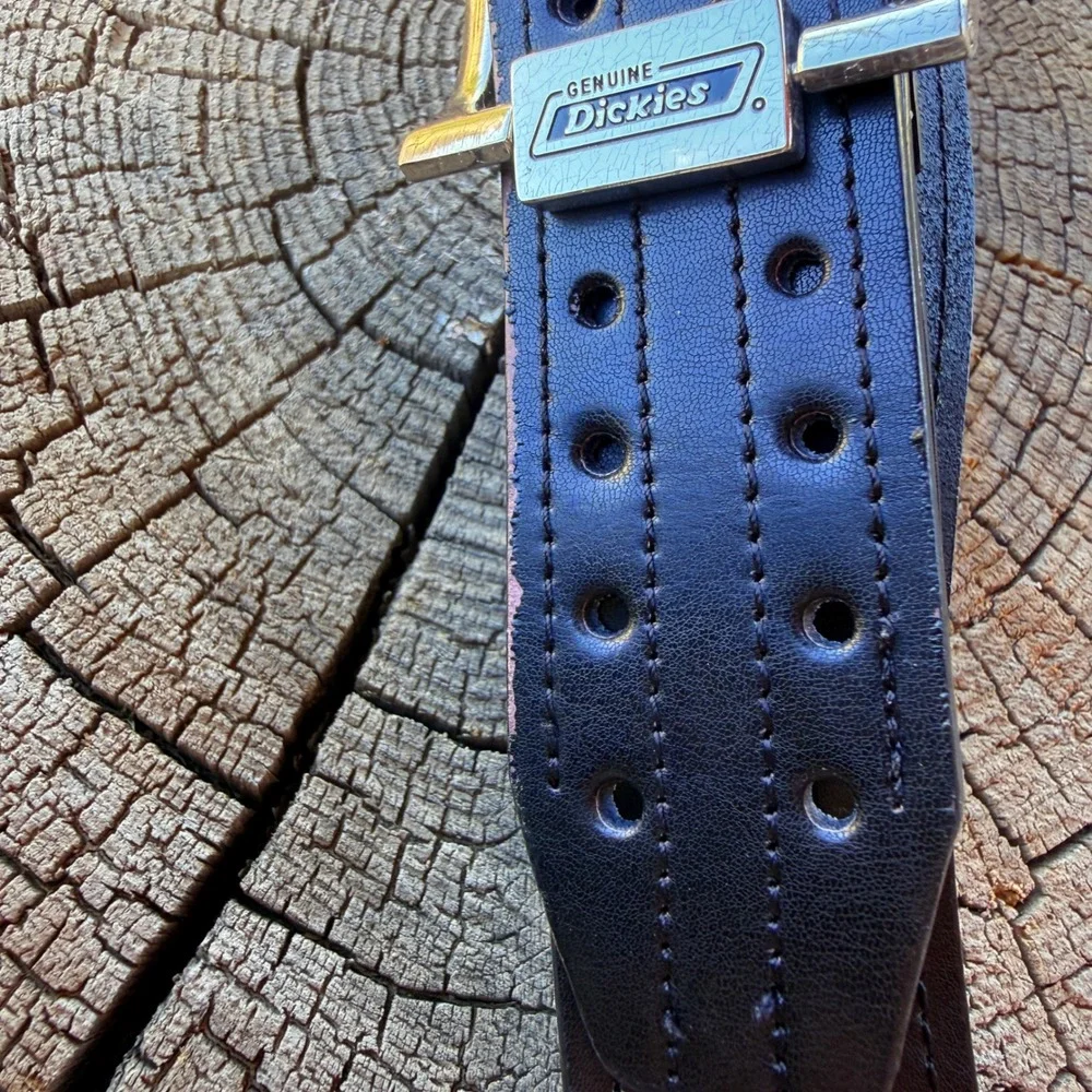 Dickies y2k 2003