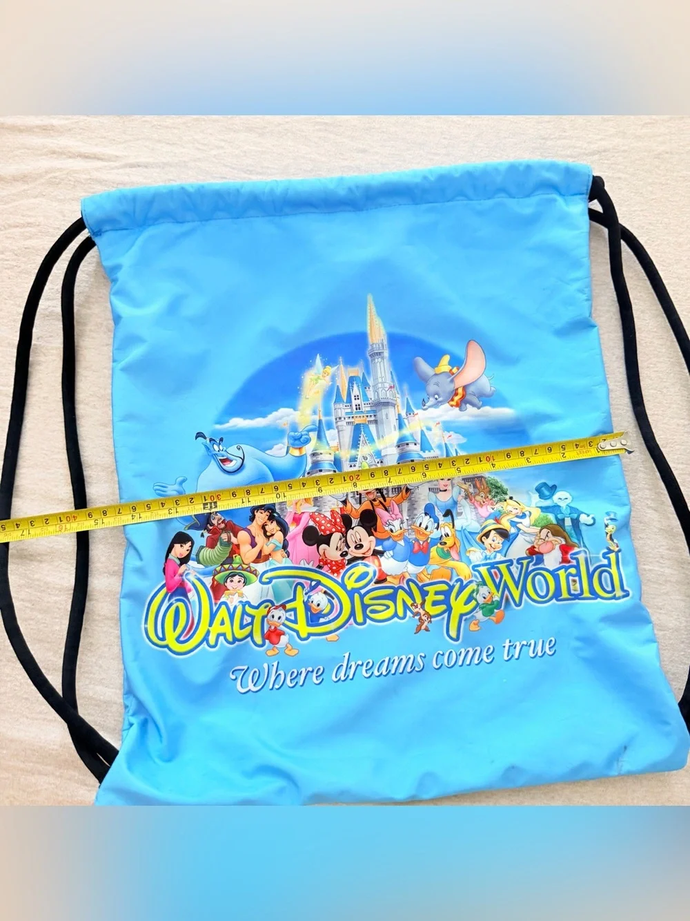 Disney storage major flaws