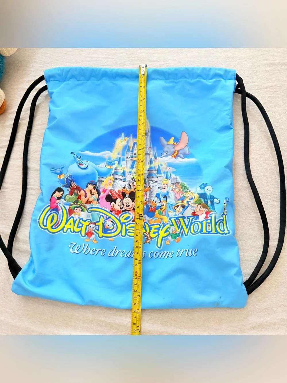 Disney flaws storage