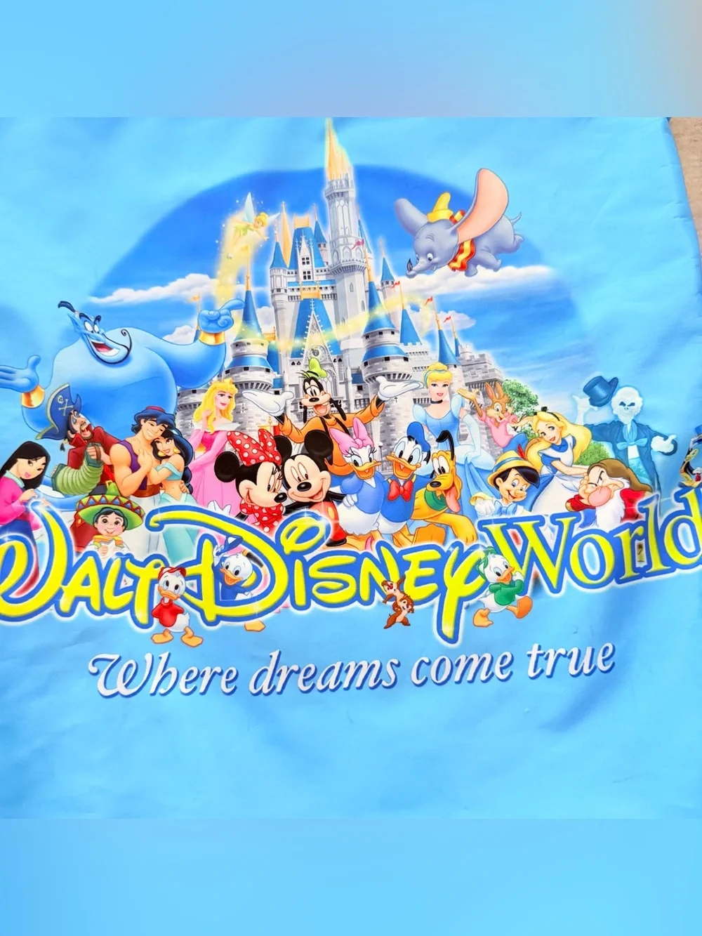 Disney flaws from
