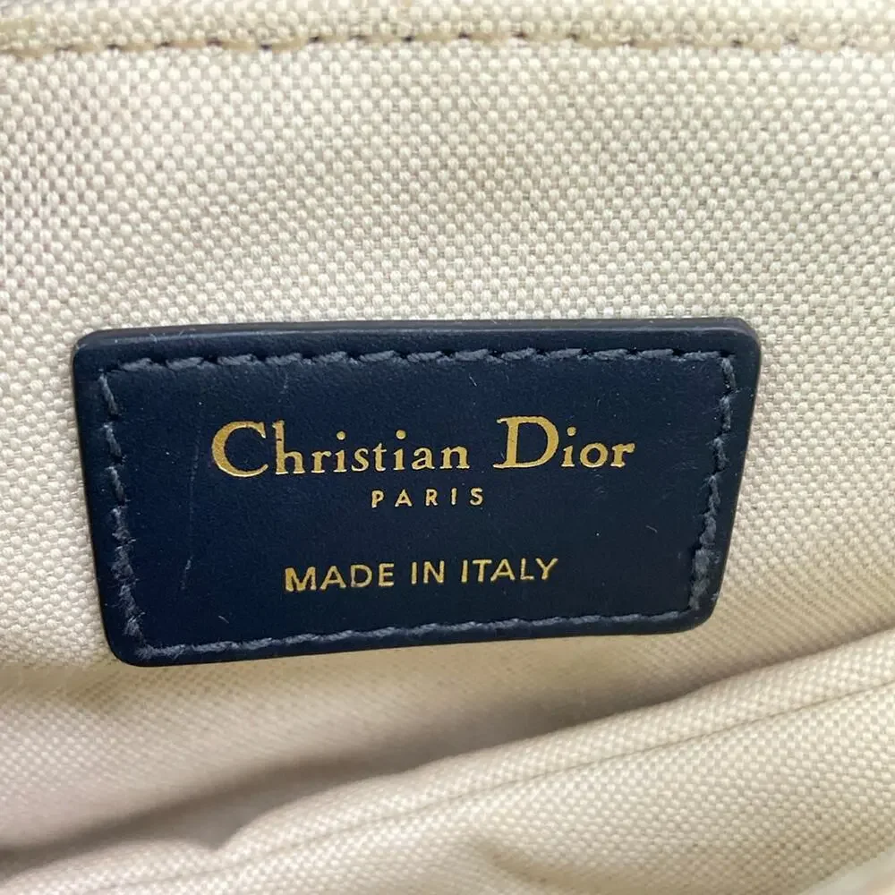 Dior christian saddlebag