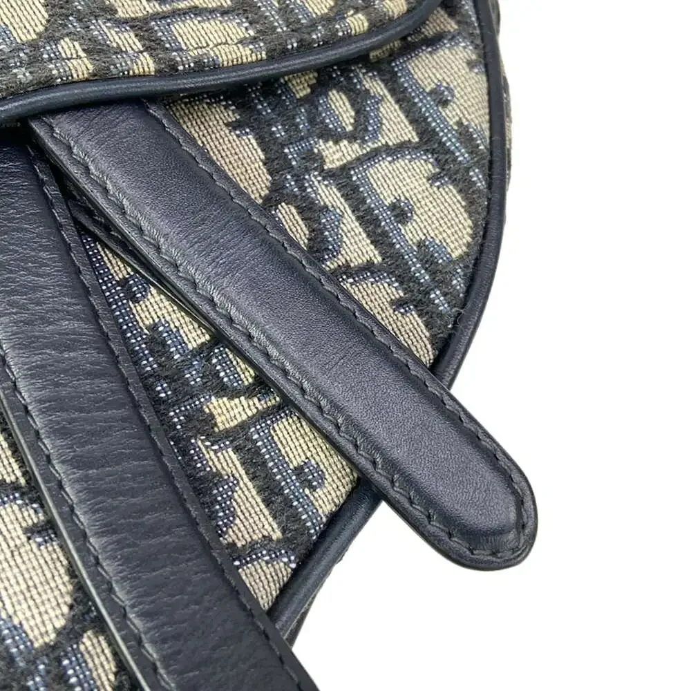 Dior christian saddlebag