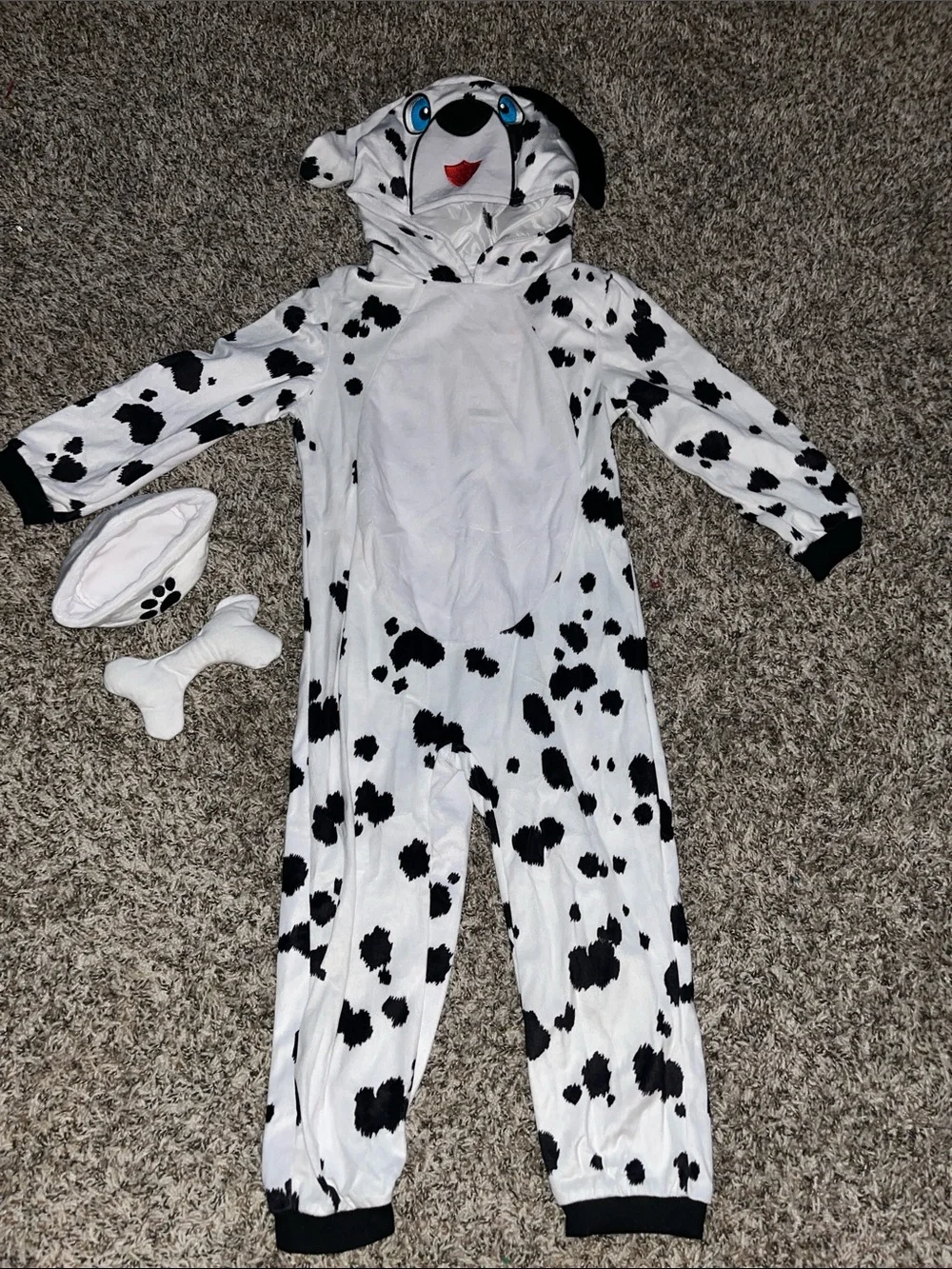 IKALI cute dalmatian