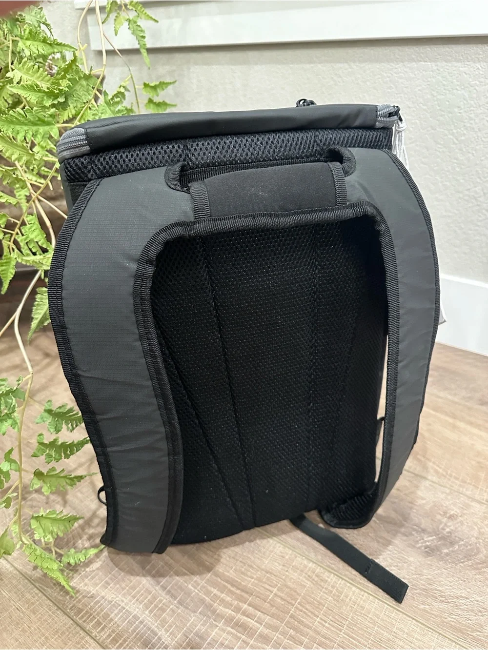 Tommy Bahama Black Cooler Backpack with American Flag Trim