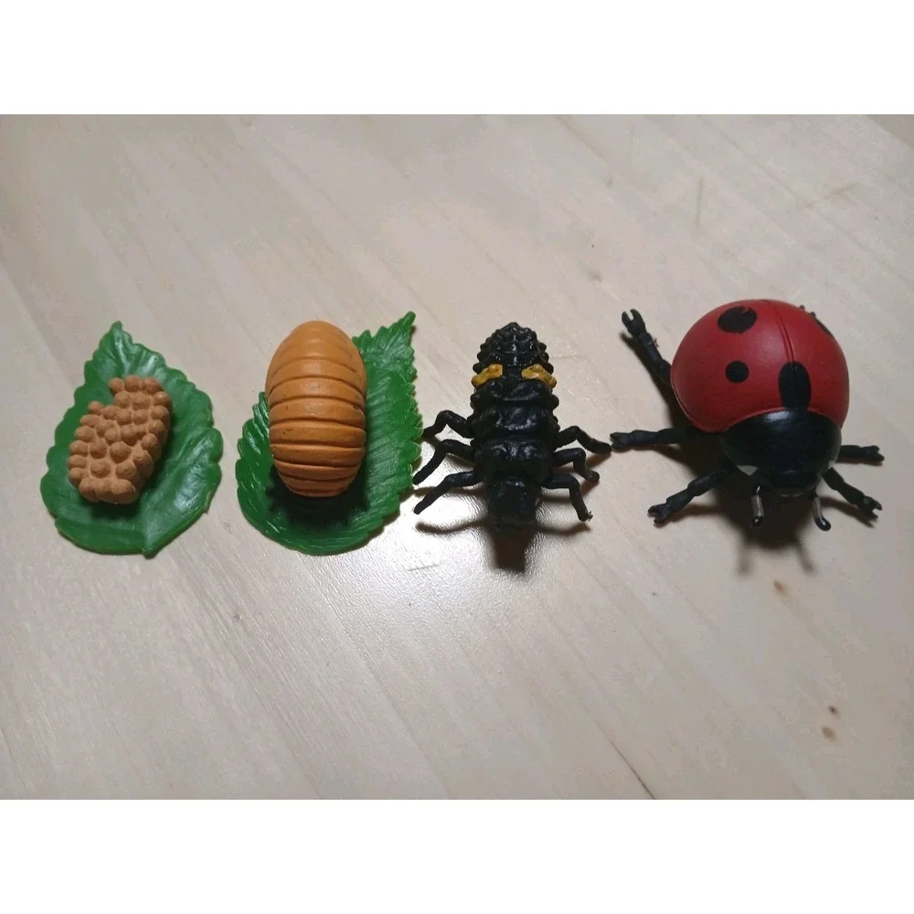 Life Cycle Of A Ladybug Figures Safari Ltd NEW Toys Collectibles Kids Education
