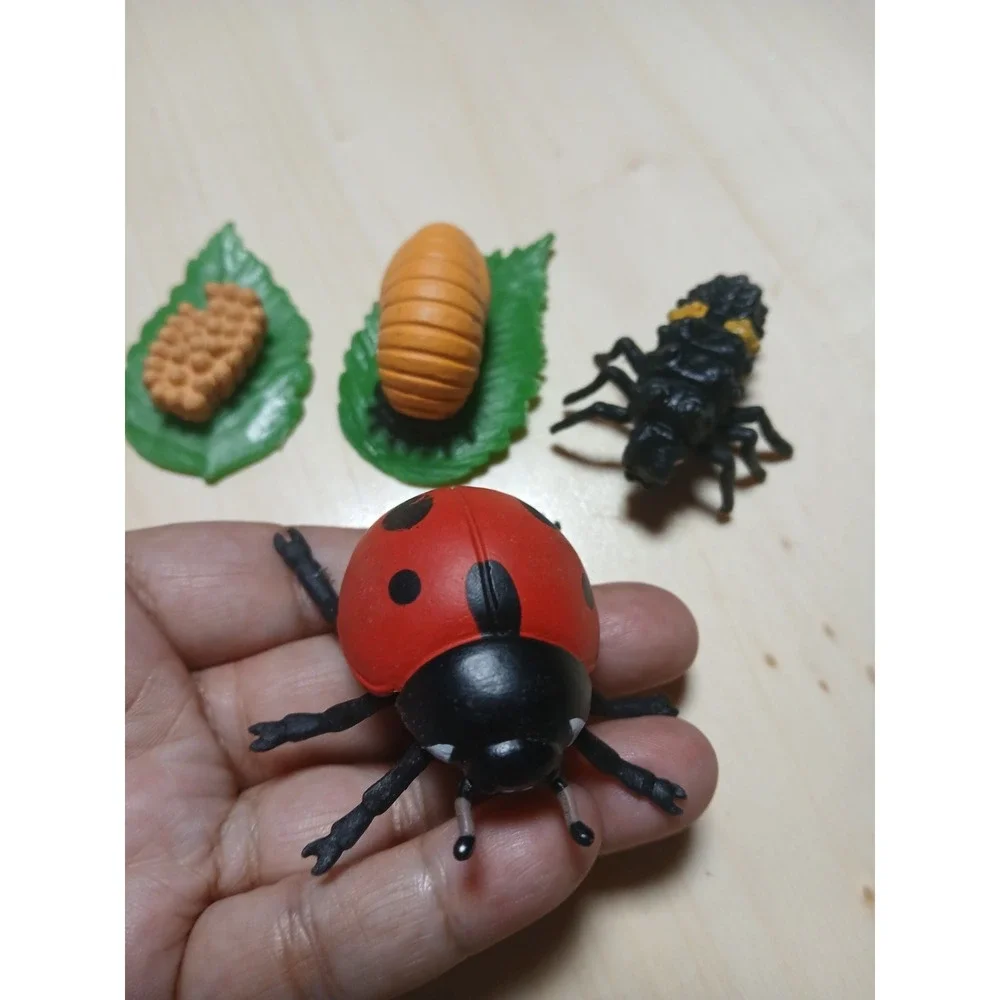 Safari Ltd product set
