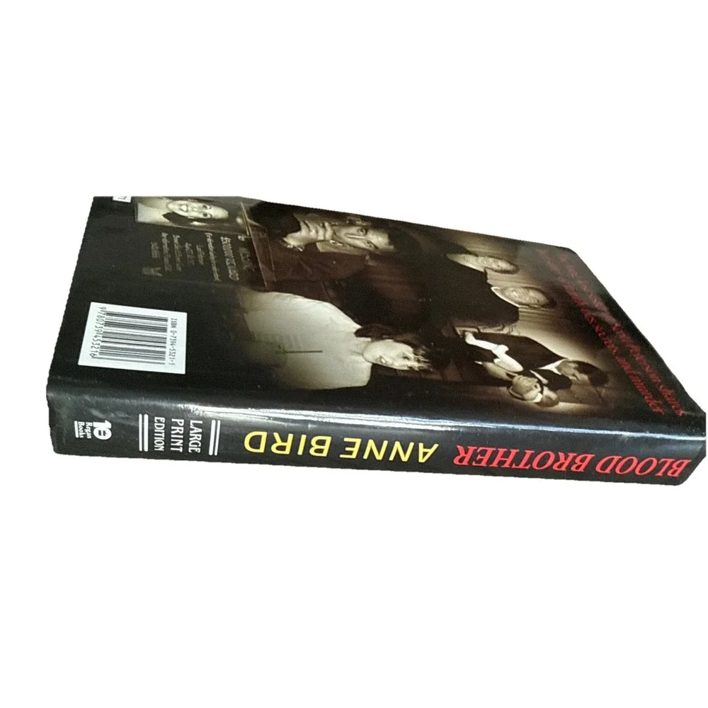 Blood Brother by Anne Bird (2005,‎ Hardcover) 33 Reasons My Brother Is Guilty