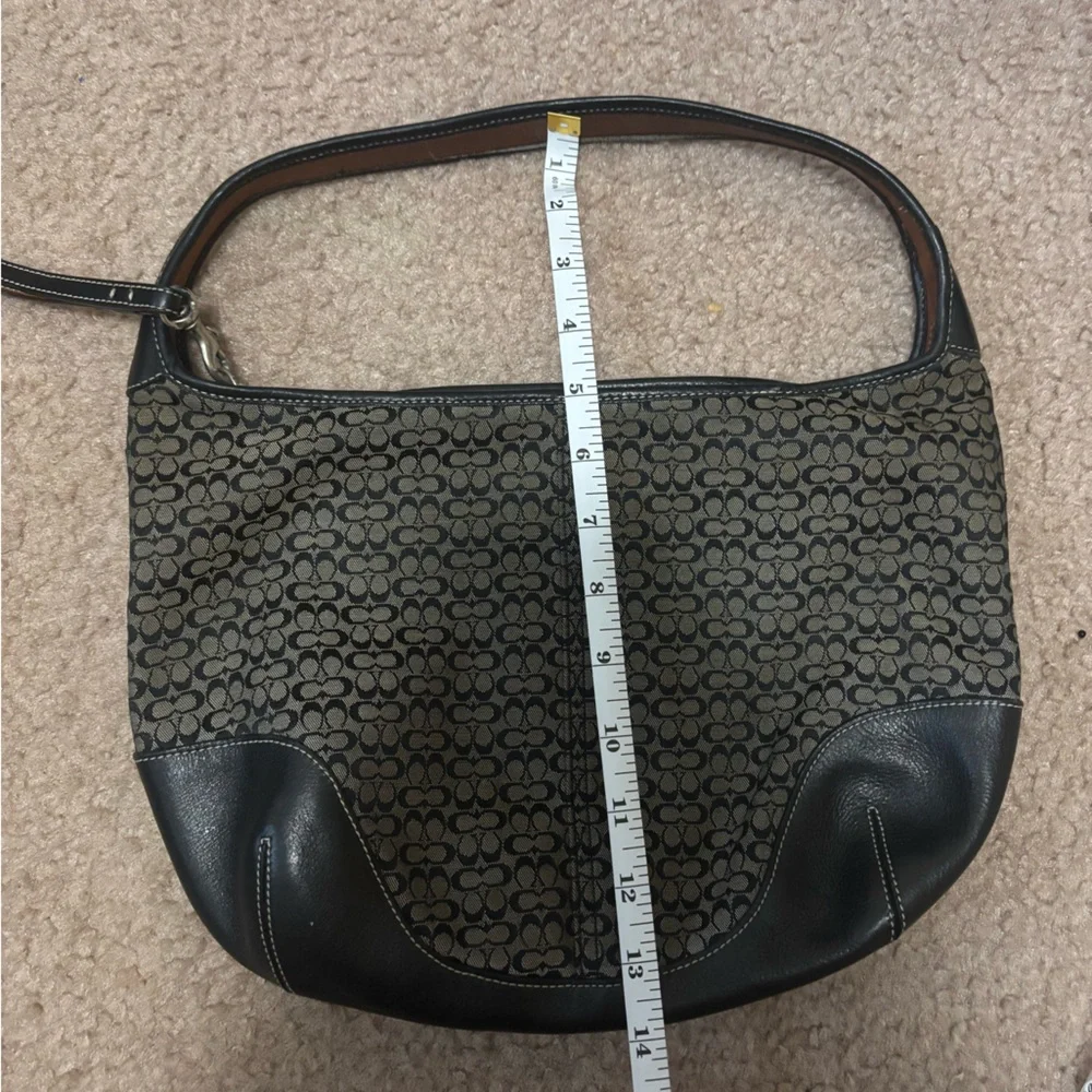 Coach elegant women