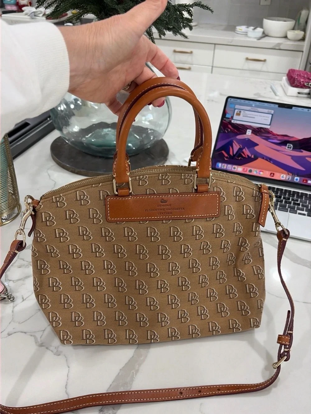 Dooney & Bourke structured satchel