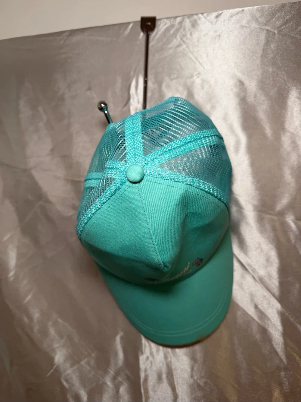 Alani Nu alani teal
