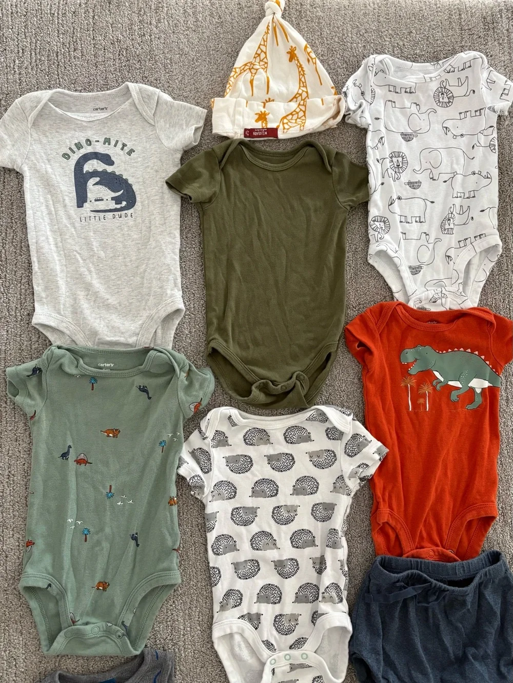 Carters brands include