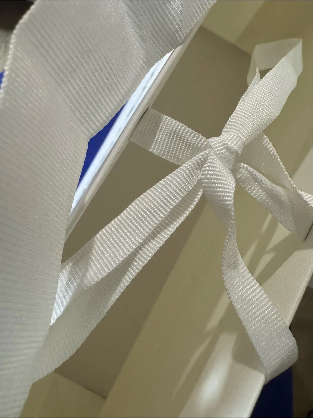 Dolce & Gabbana 💯% Authentic Iconic White Shopping/gift paper Bag w/ inner ties