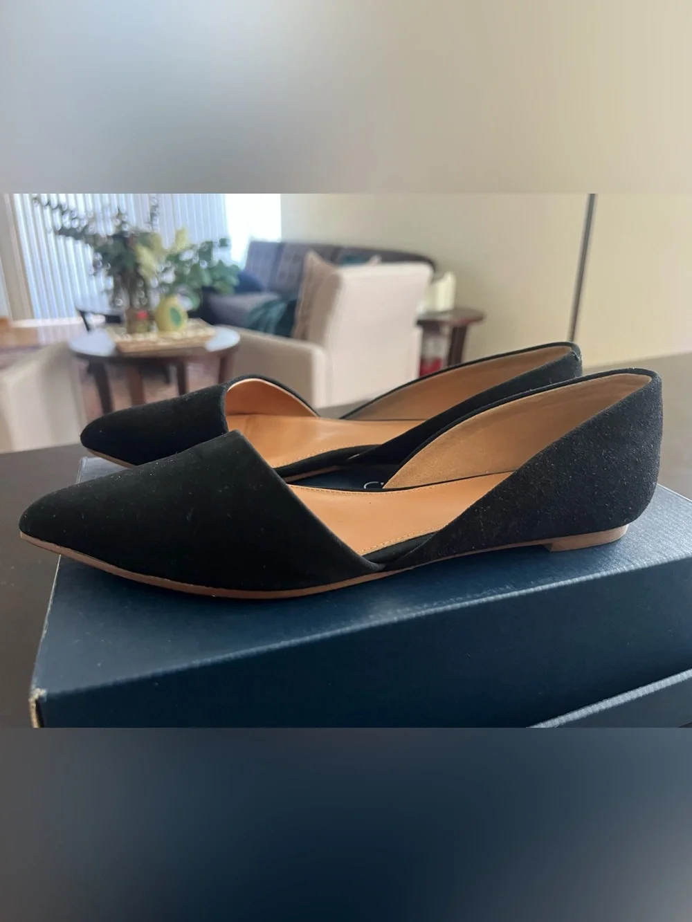 J. Crew classic pointed