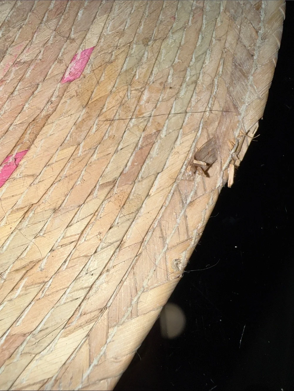 N/A natural straw