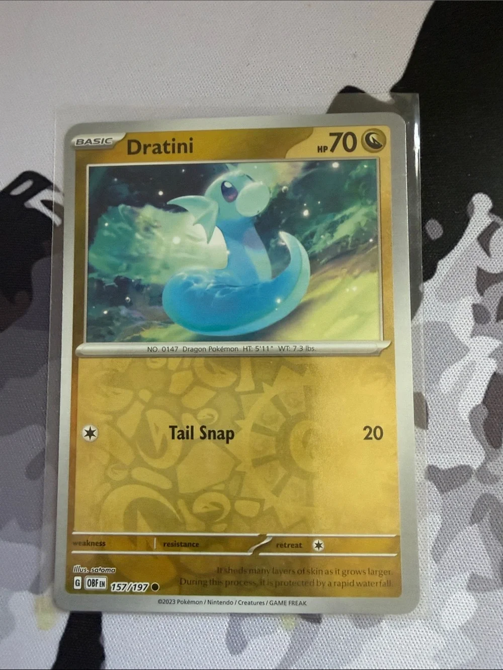 Pokemon fan favorite