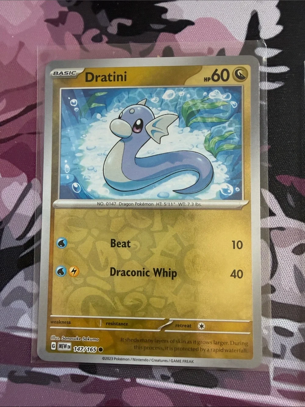 Pokemon fan favorite