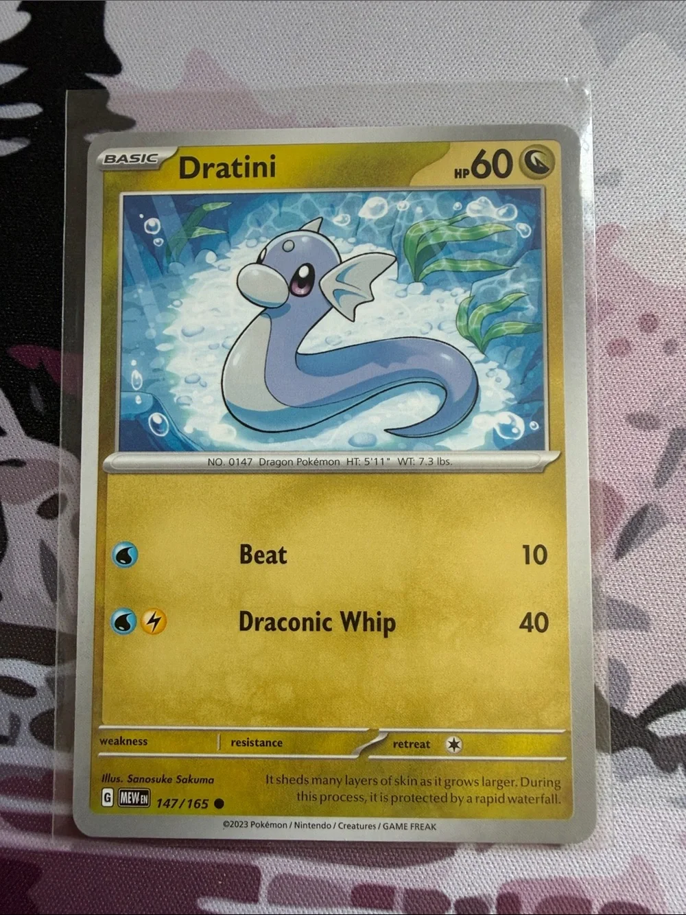 Pokemon fan favorite