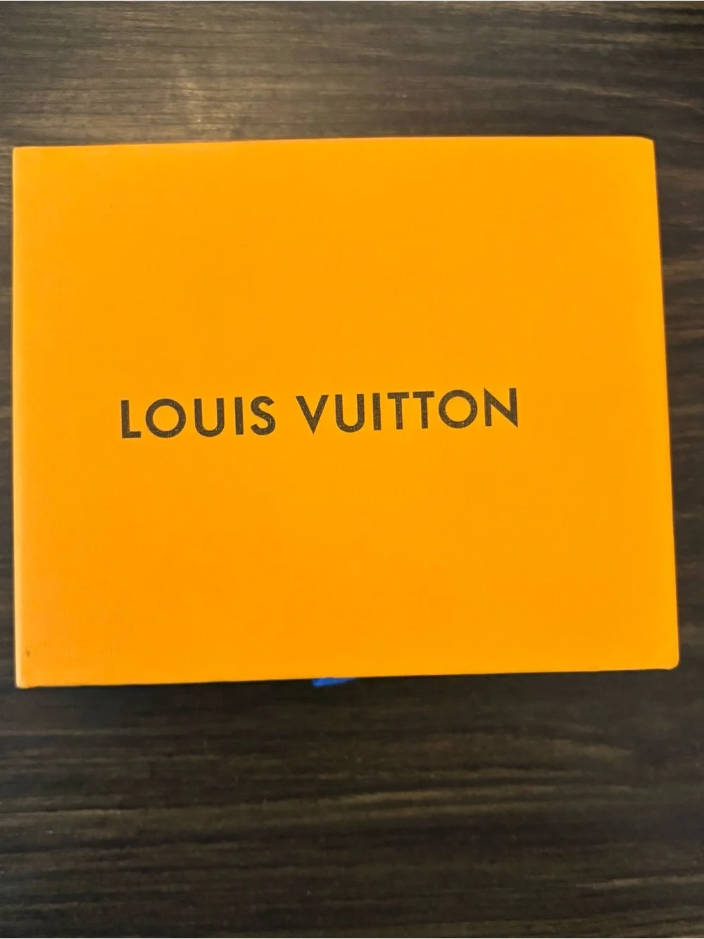 Louis Vuitton authentic louis