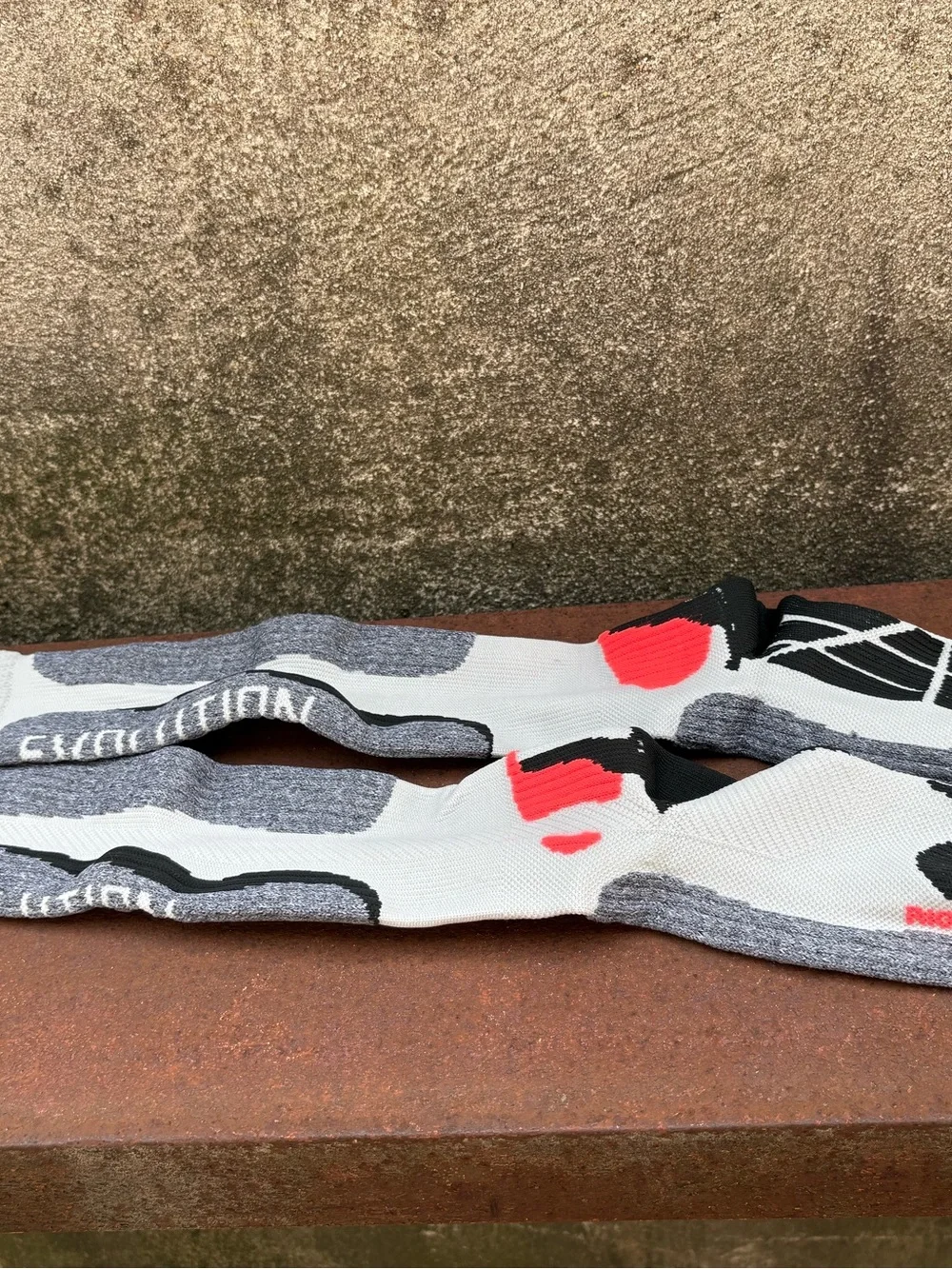 Evolution socks unisex
