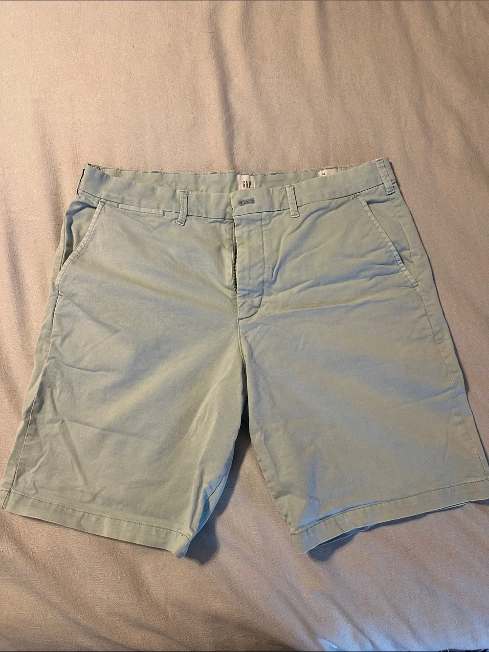 GAP Men's Pale Blue Flat Front Chino Shorts