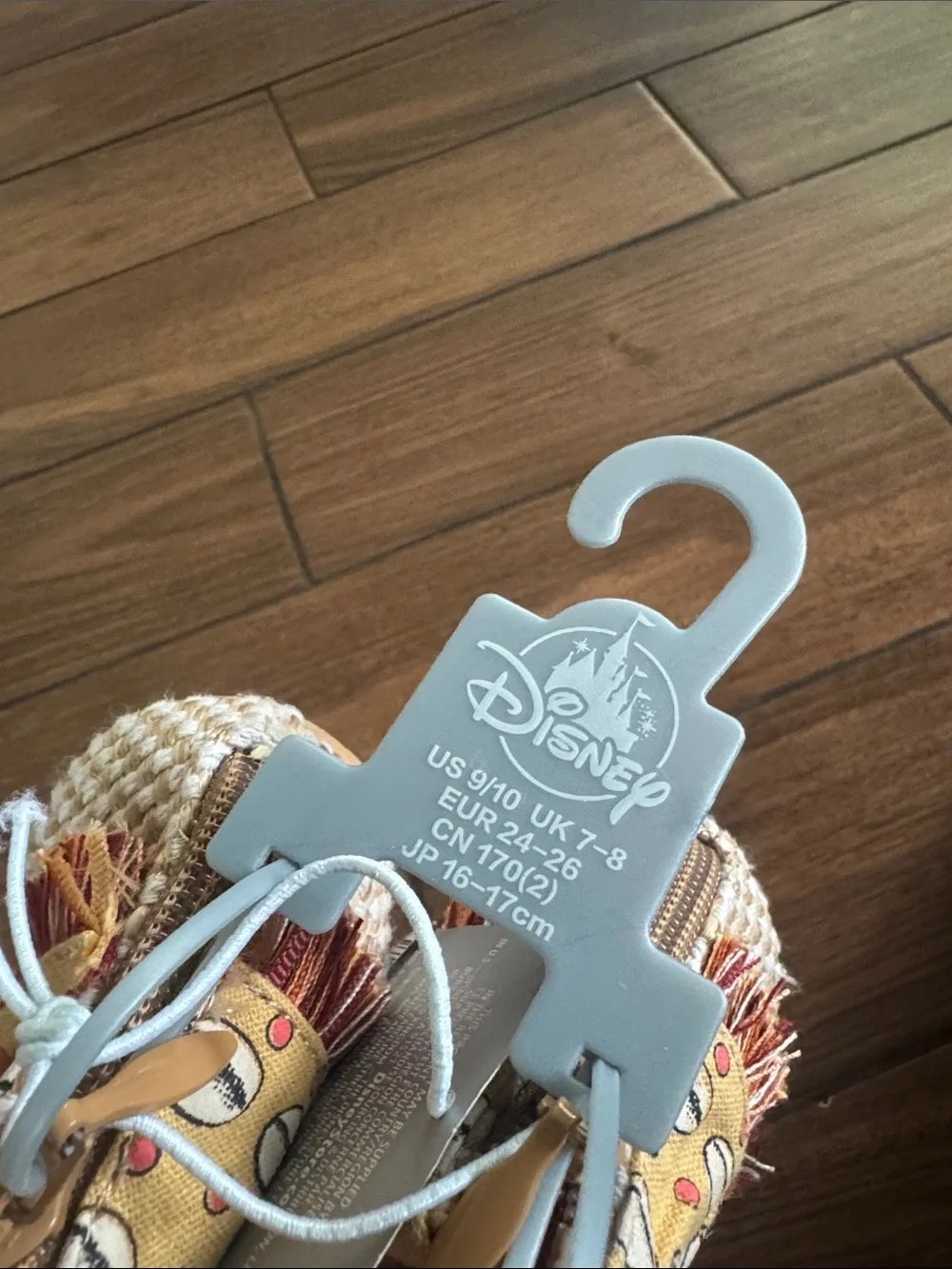 Disney new fun secure