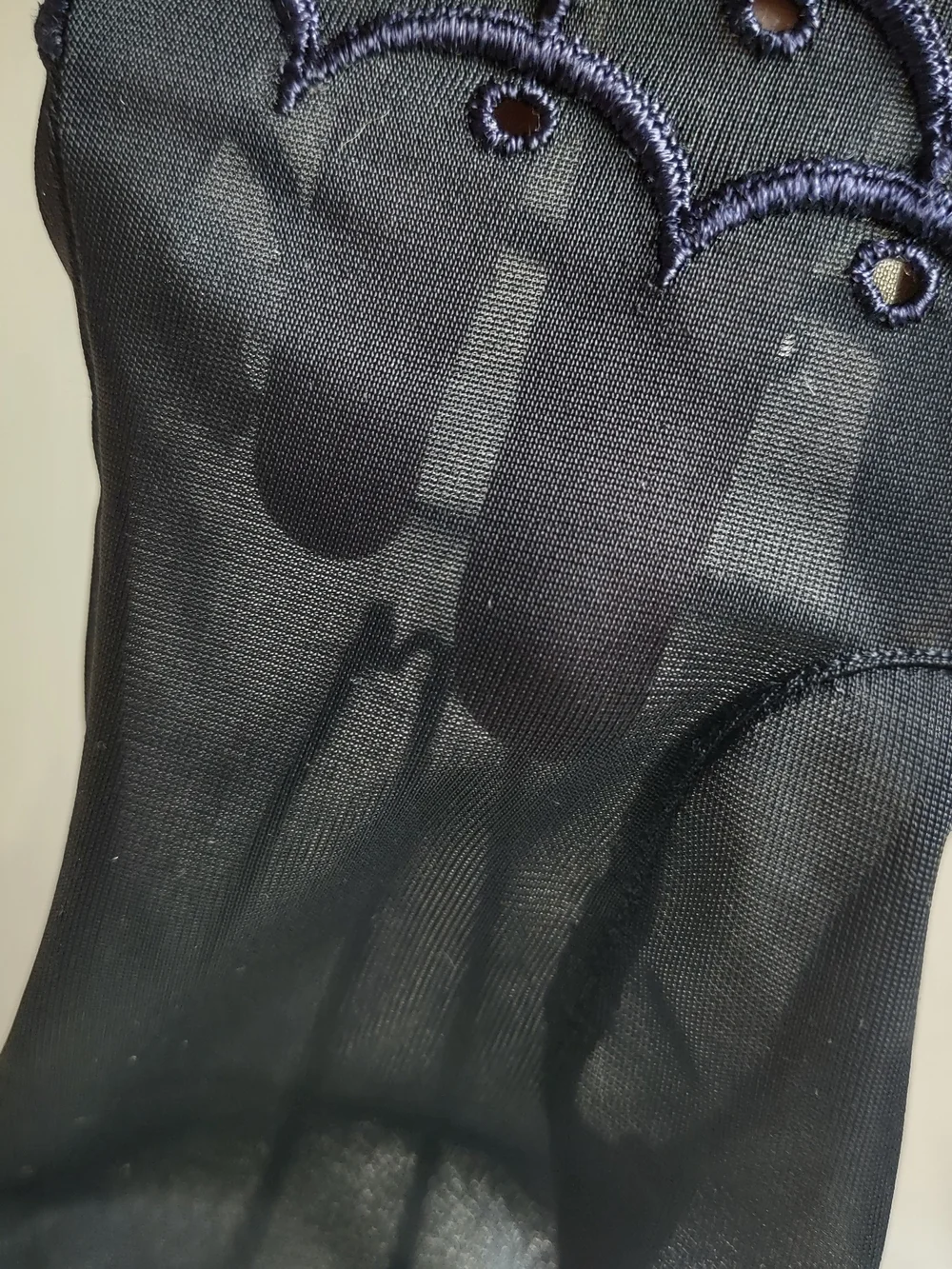Vintage elegant sheer