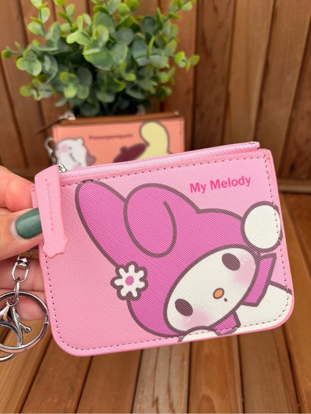 Sanrio zip card