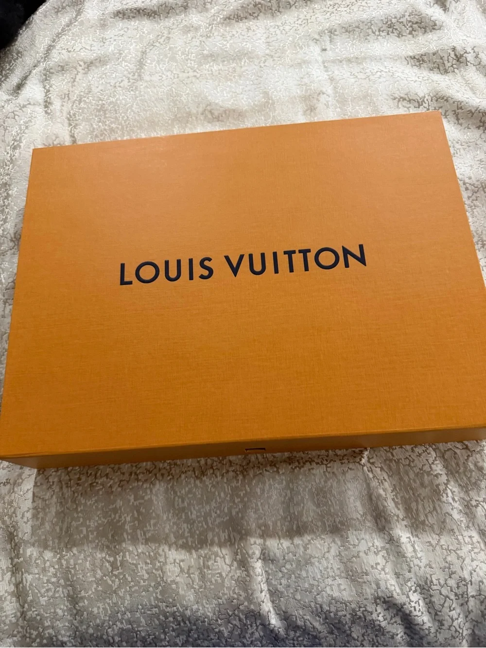 Louis Vuitton authentic louis