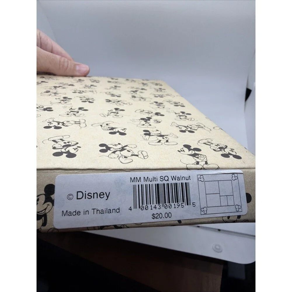 Disney theme parks