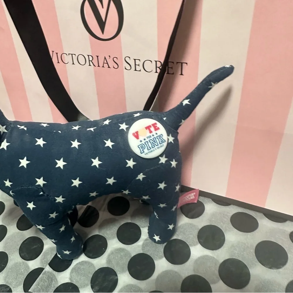 Victorias Secret pink victoria’s