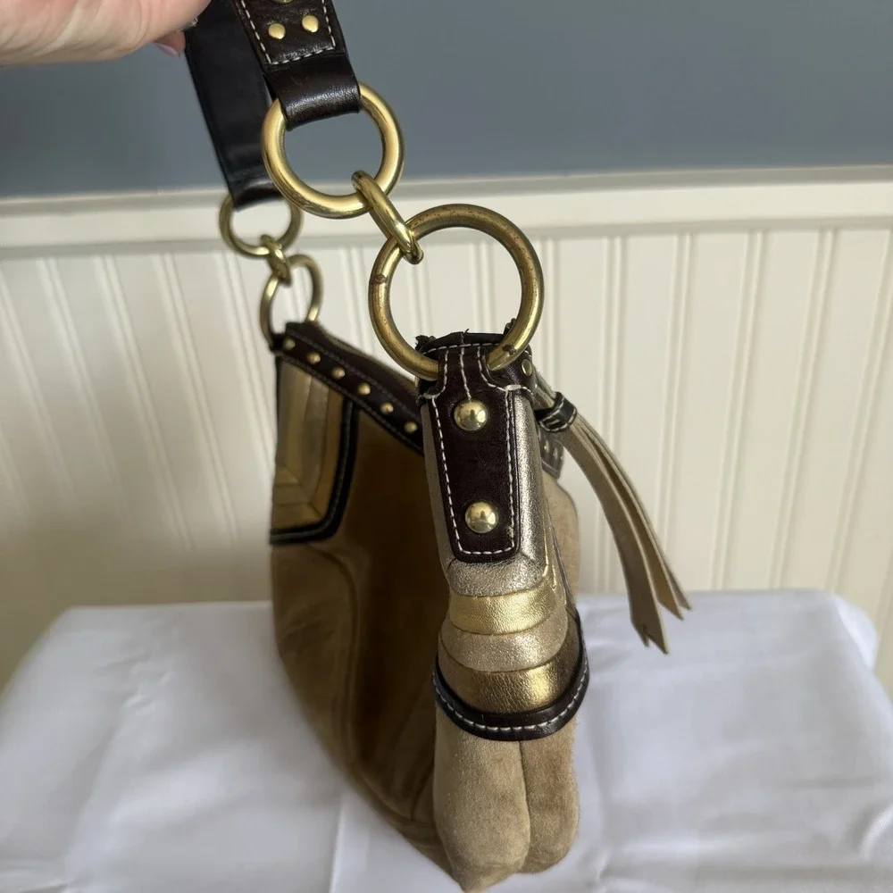 Coach use cleaning