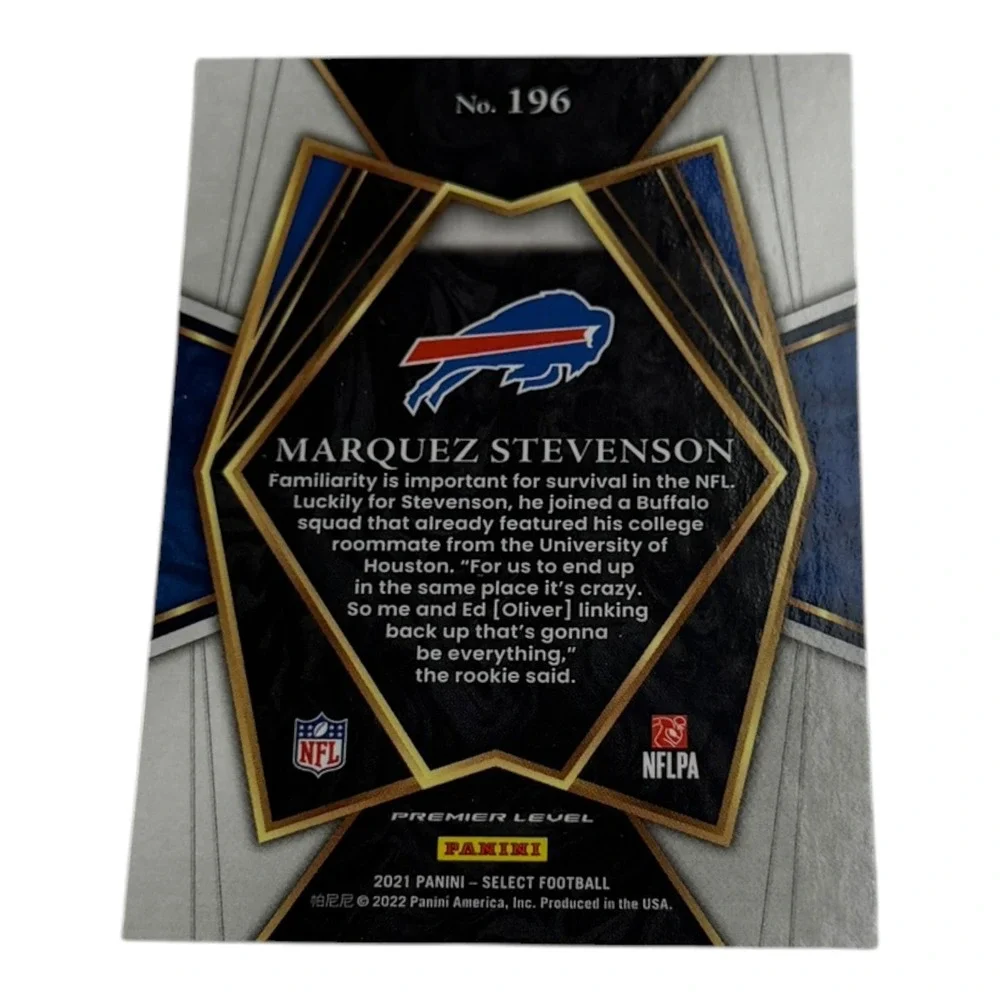 Panini brand series