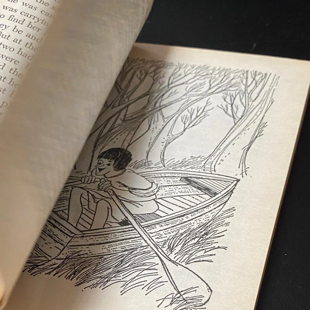 Vintage this book