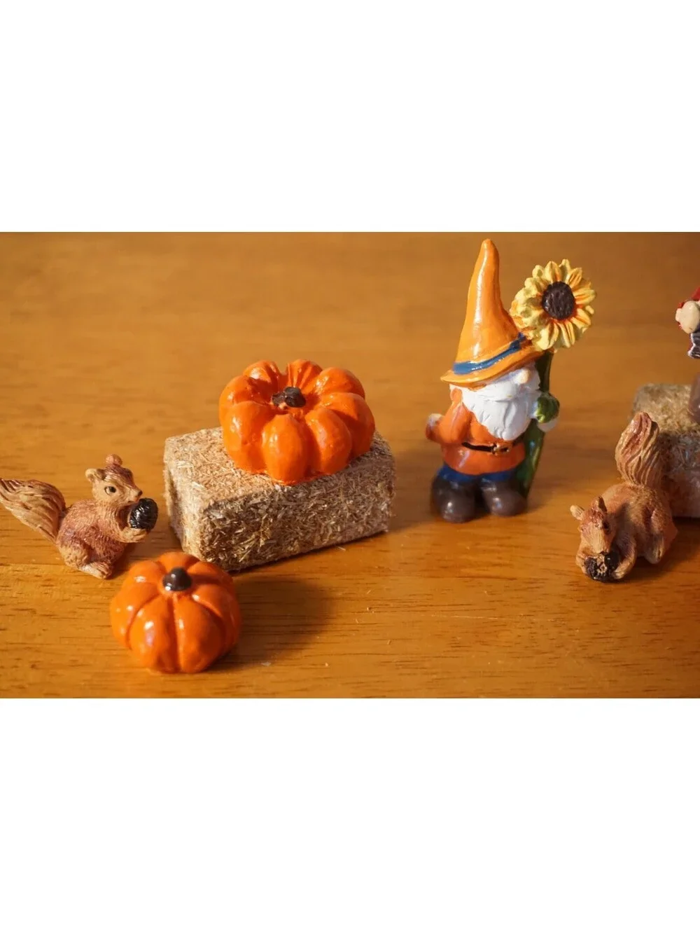 N/A length gnomes